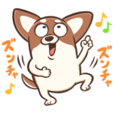 チワワのピノ2