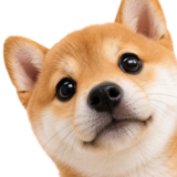 飛び出す★柴柴柴