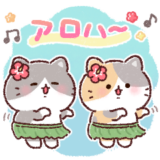 ふんわりにゃんこの夏