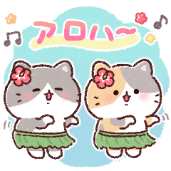 ふんわりにゃんこの夏