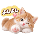 ふわふわ子猫のやさしい言葉