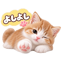 ふわふわ子猫のやさしい言葉