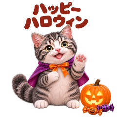 もふもふ猫の秋とハロウィン