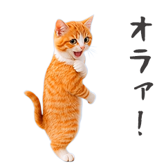 どこでもにゃんこ（武闘派）