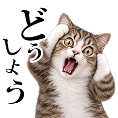 驚愕猫！驚きすぎる猫たち