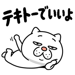 ウザ～～い猫★テキトーな返事